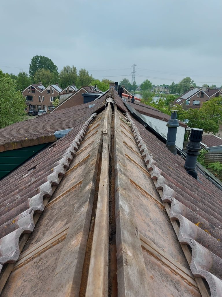 Nokvorst renovatie