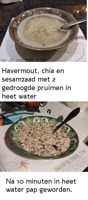 Havermout
